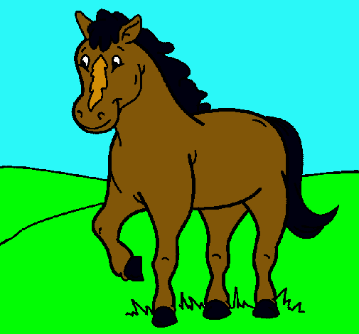 Cavall