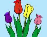 Dibuix Tulipes pintat per snoppy