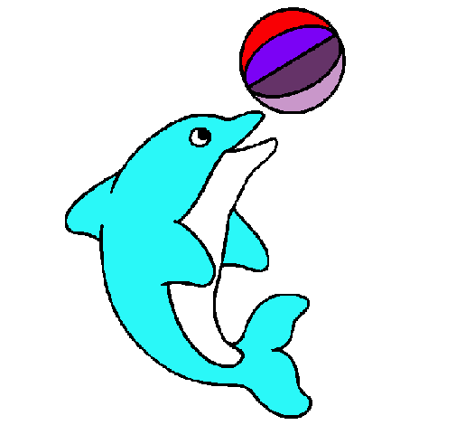 Dofí jugant amb una pilota