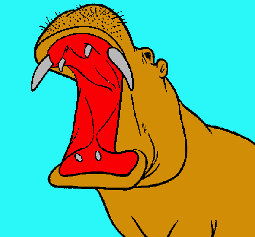Hipopòtam amb la boca oberta