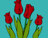 Dibuix Tulipes pintat per anònim