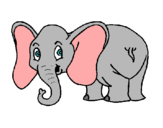 Dibuix Elefant petit pintat per baby