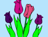 Dibuix Tulipes pintat per ainhoa coll de sa