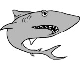 Dibuix Tiburón pintat per JOFRE