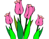 Dibuix Tulipes pintat per guilli