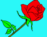 Dibuix Rosa pintat per lizbeth