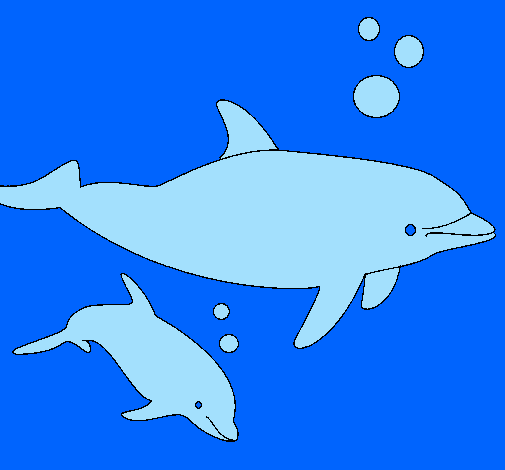Dofins