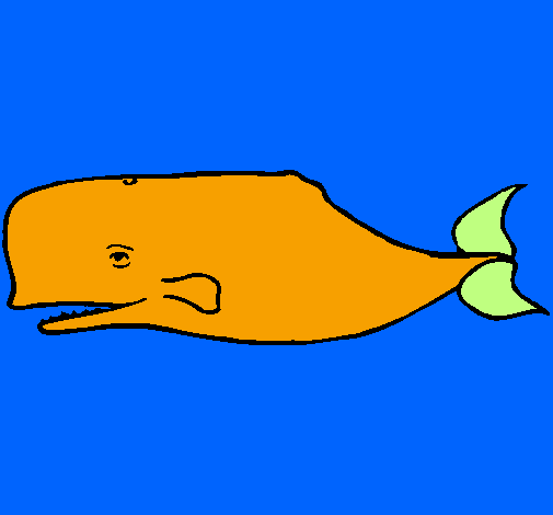 Balena blava