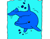 Dibuix Dofí pintat per delfi