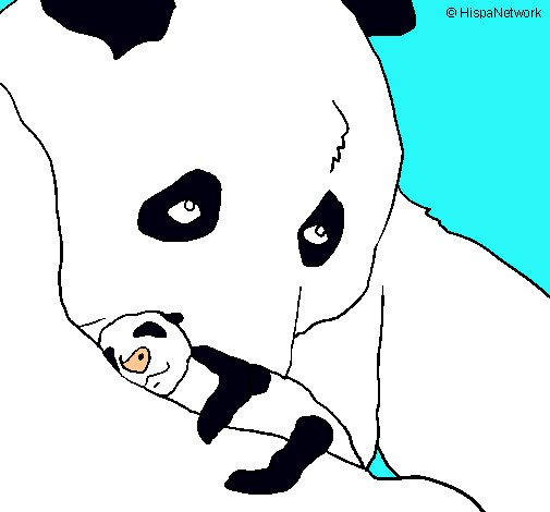 Ós panda amb el seu cria