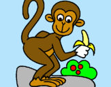 Dibuix Mono pintat per mono loco