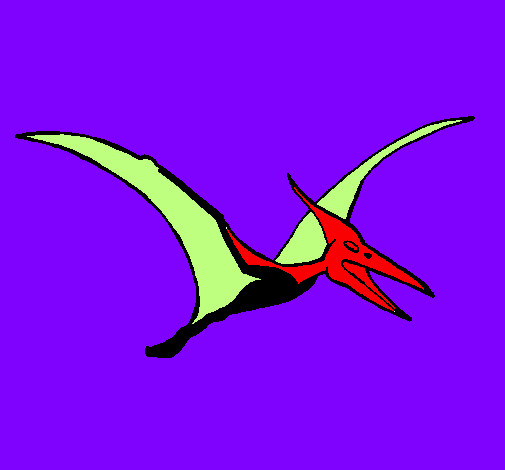 Pterodàctil