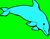 Dibuix Dofí content pintat per oicor