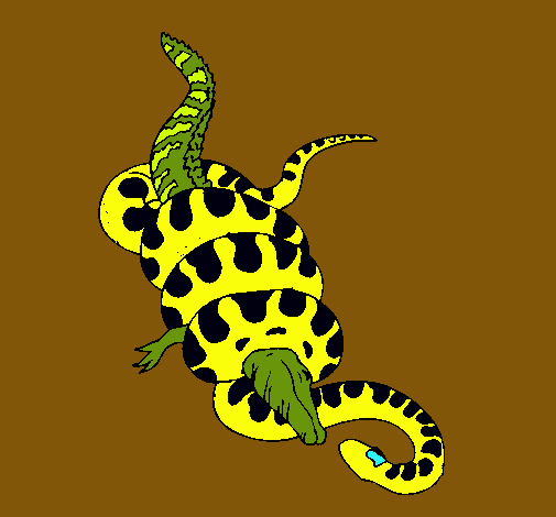 Anaconda i caiman