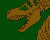 Dibuix Esquelet tiranosauri rex pintat per gerard
