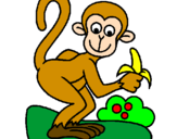 Dibuix Mono pintat per Eva