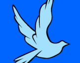 Dibuix Colom de la pau al vol  pintat per carlota g