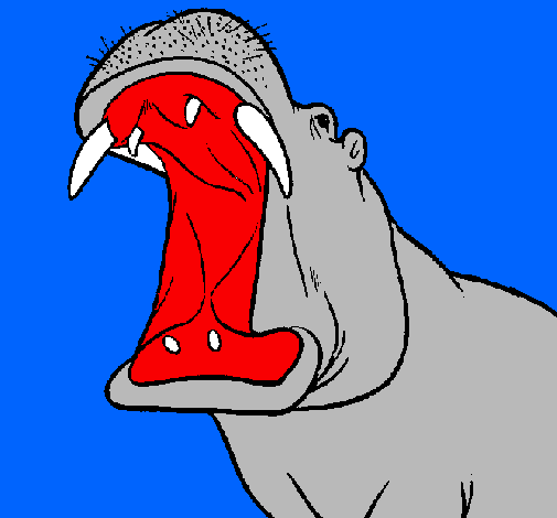 Hipopòtam amb la boca oberta