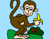 Dibuix Mono pintat per Virginia