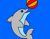 Dibuix Dofí jugant amb una pilota pintat per mar