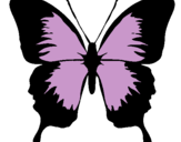 Dibuix Papallona amb ales negres  pintat per DORC