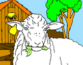 Dibuix Ovella menjant una fulla  pintat per ovella