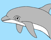 Dibuix Dofí pintat per MIQUEL2