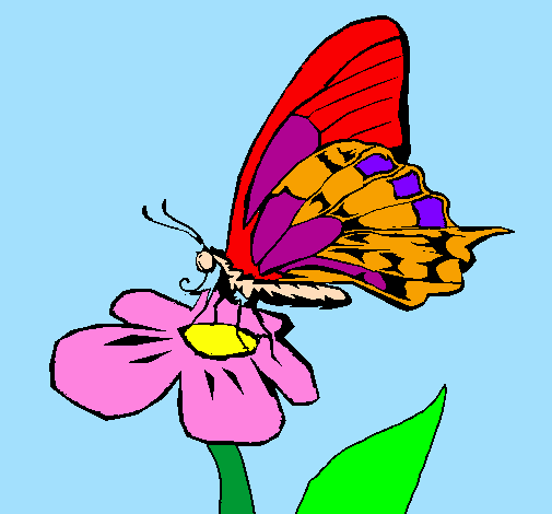 Papallona en flor 