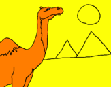 Dibuix Camell pintat per kkiiitysedq