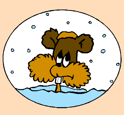 Esquirol en bola de neu
