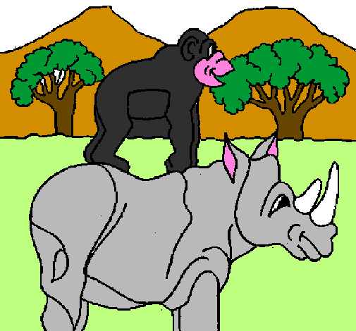 Rinoceront i mono