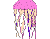 Dibuix Medusa pintat per MARTA