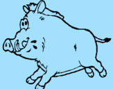 Dibuix Porc senglar pintat per KILIAN