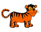 Dibuix Tigre pintat per quim