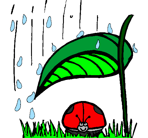 Marieta de set punts protegida de la pluja 