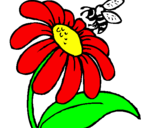 Dibuix Margarida amb abella pintat per m