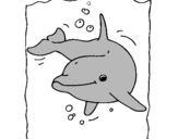 Dibuix Dofí pintat per julia urgell