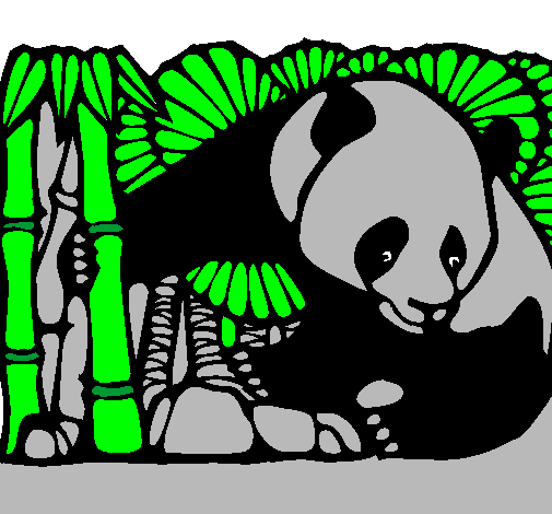 Ós Panda i Bambú