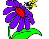 Dibuix Margarida amb abella pintat per laia grau ferré