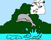 Dibuix Dofí i gavina pintat per ROC SOLÀ