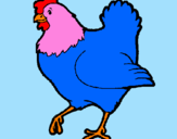 Dibuix Gallina pintat per gallina