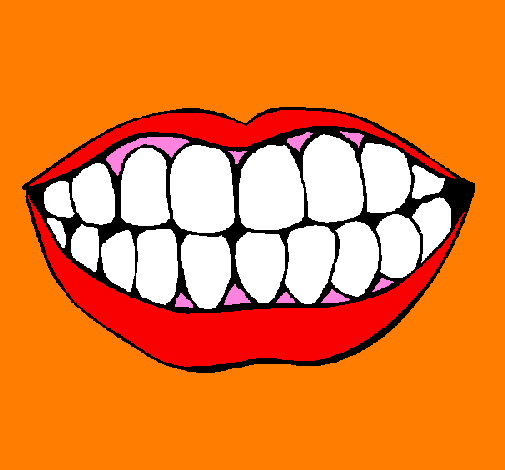 Boca i dents