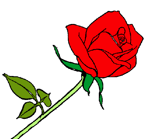 Dibuix Rosa pintat per vermella