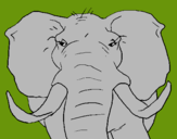 Dibuix Elefant africà pintat per juli