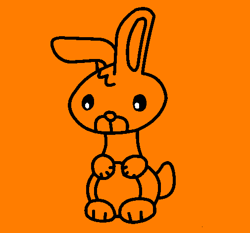 Art el conill