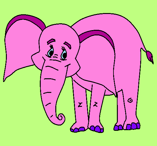 Elefant feliç