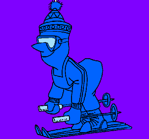 Esquiador abrigat