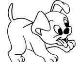 Dibuix Gosset pintat per le dibujo de gos