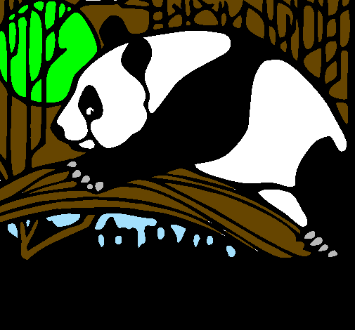 Ós panda menjant