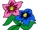 Dibuix Flors pintat per marta